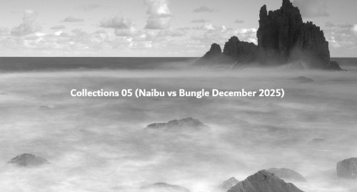 Snippah - Collections 05 (Naibu vs Bungle December 2025)