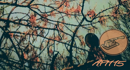 Paxnattitude in APM MIX 15