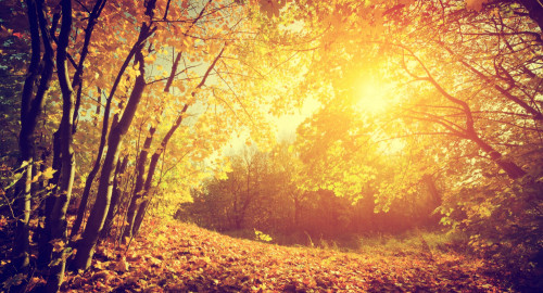 Liquid Drum and Bass 2025 #22