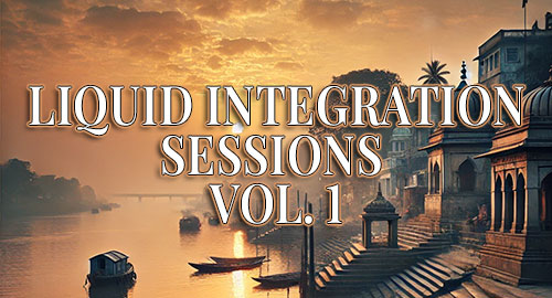 Liquid Integration Sessions Vol.1