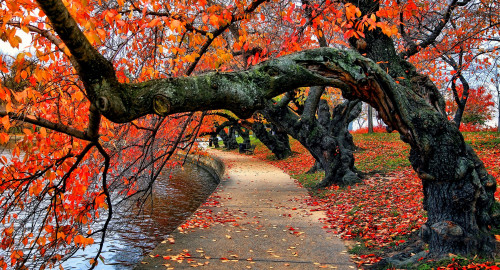 Stress Factor Podcast 330 - DJ B-12 - November 2025 Drum & Bass Studio Mix