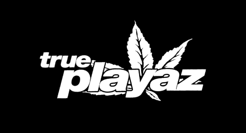 True Playaz History Mix [April.2014]