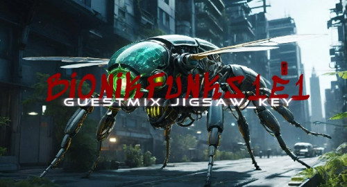 BIONIKFUNK S1E1 GUESTMIX jigsaw_key