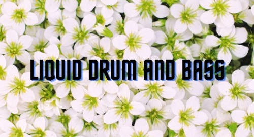 Kind Movements - Liquid Drum and Bass Mix #1 [Sept.2021]
