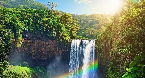 .Momentum - Liquid Allsorts Vol.7 [Nov.2025]