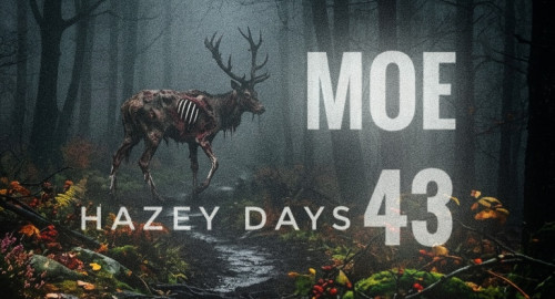 Hazey Days 43