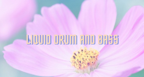 Kind Movements - Liquid Drum and Bass Mix [April.2021]
