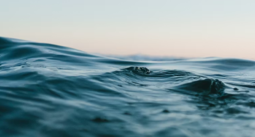 Purplenova - Liquid Drum & Bass Mix #55 [Feb.2026]