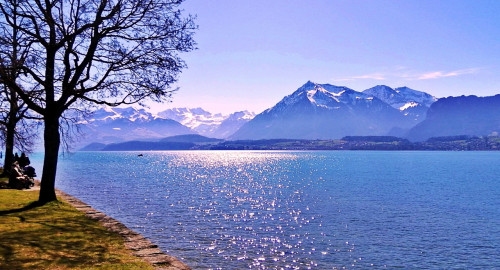 Liquid Drum and Bass 2026 #6