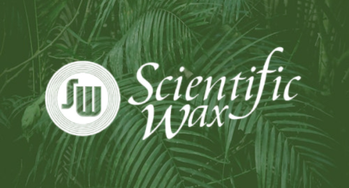 Rumbleton - The Scientific Wax Show # Jungletrain [19.07.2026]