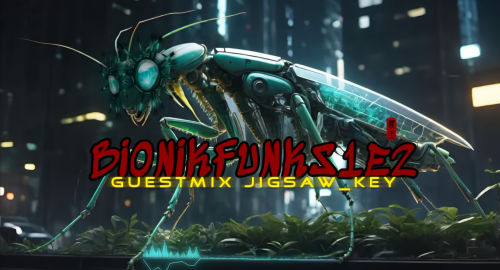 BIONIKFUNK S1E2 GUESTMIX jigsaw key [cybernetic Neurofunk & futuristic Techstep ]