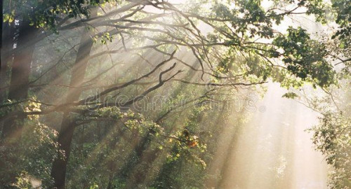 Atmosphericals - 012