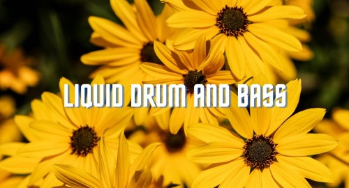 Kind Movements - Liquid Drum and Bass Mix #2 [July.2021]
