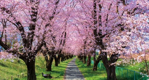 Slider - Liquid Drum and Bass Mix [Spring.2026]