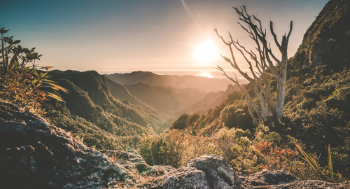 Atmosphericals - 013