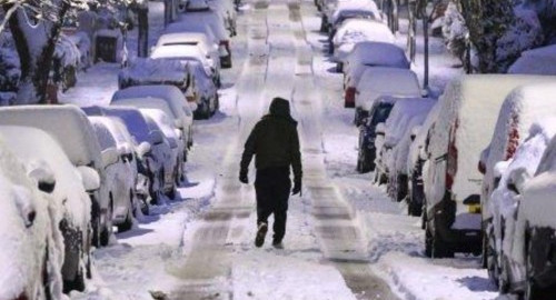 Surelock - Winter Blend 2026