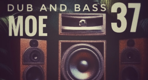 Dub and Bass 37