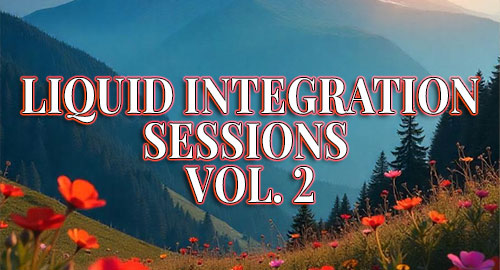 Liquid Integration Sessions Vol.2