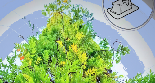 Paxnattitude presents  APM MIX 10.3