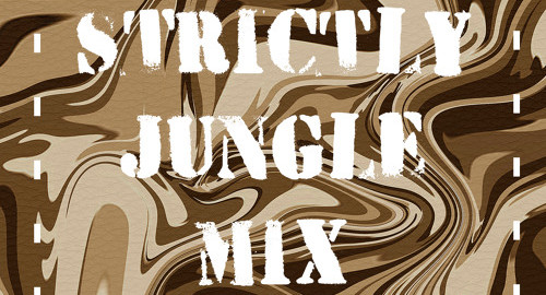 FeyDer - Strictly Jungle Mix [Jan.2022]