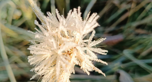 Jur3K - preview for next Set (deleted soon)