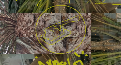 Paxnattitude presents  APM MIX 12_1_jungle